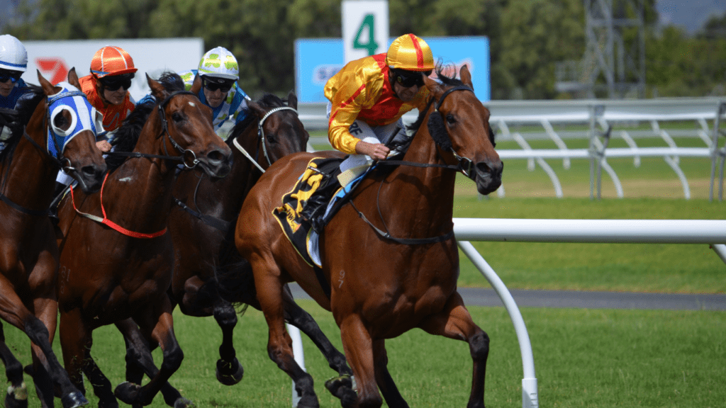 image of a horse racing