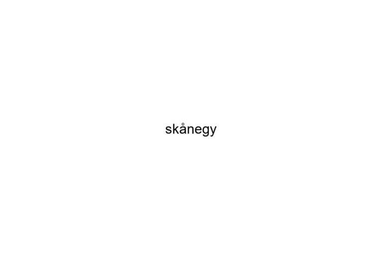 sknegy