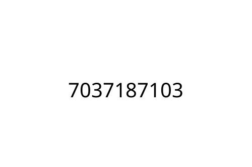 7037187103