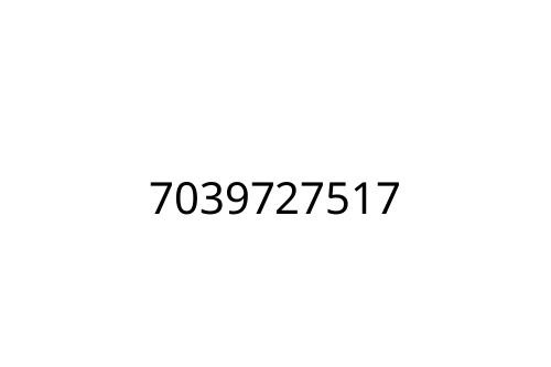 7039727517