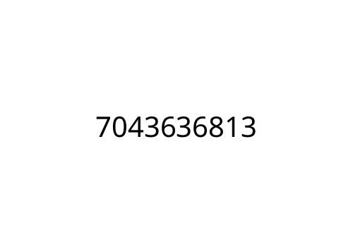 7043636813