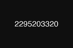 2295203320