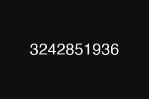 3242851936
