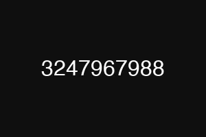 3247967988