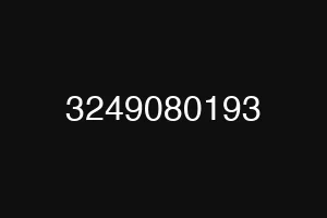 3249080193