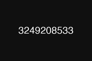 3249208533