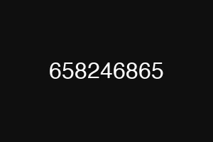 658246865