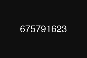 675791623