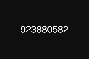 923880582