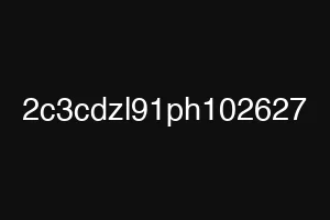 2c3cdzl91ph102627