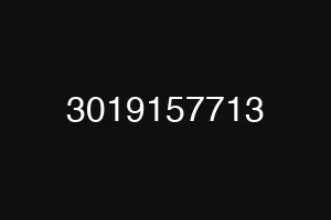 3019157713