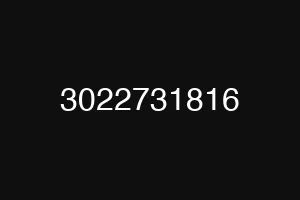 3022731816
