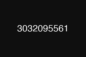 3032095561