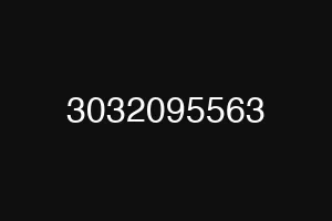 3032095563