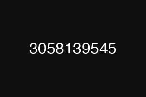 3058139545