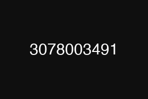3078003491