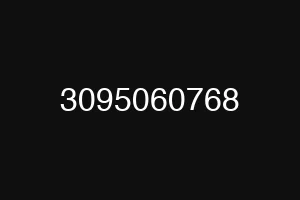 3095060768