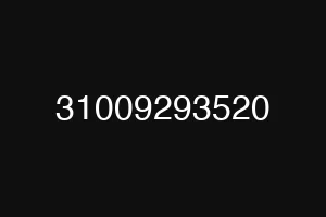 31009293520