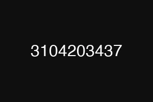 3104203437