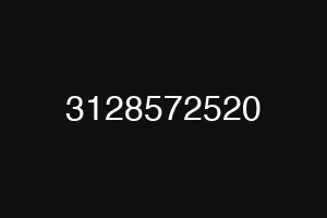 3128572520