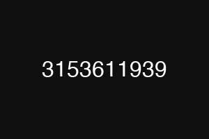 3153611939