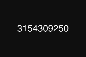 3154309250