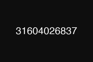 31604026837