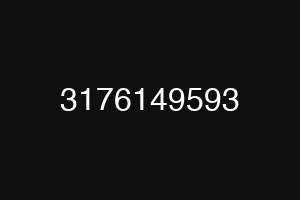 3176149593