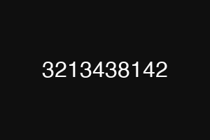 3213438142