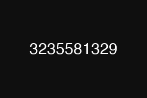 3235581329