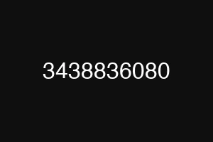3438836080