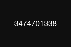 3474701338