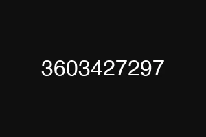 3603427297