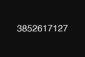 3852617127