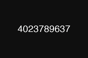 4023789637