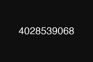 4028539068