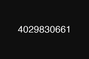 4029830661