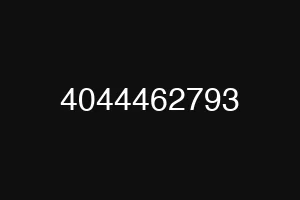 4044462793