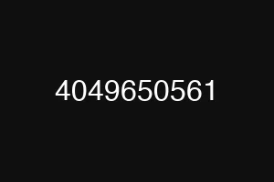 4049650561