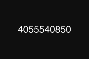 4055540850