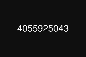 4055925043