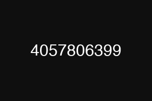 4057806399