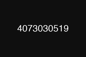 4073030519