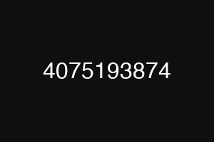 4075193874