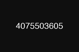 4075503605