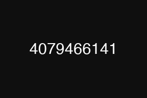 4079466141