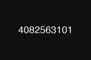 4082563101