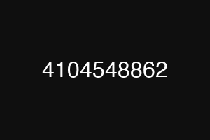 4104548862