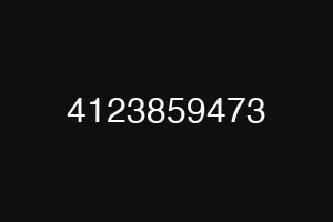 4123859473