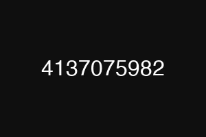 4137075982
